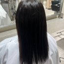 곱슬강아지 | 동반 가능한 서면미용실추천 곱슬 손상모 관리 가능한 프리미엄 오주아클리닉 누아르헤어 서면본점...