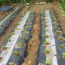 구억농장 이미지