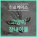민락동물병원 이미지