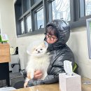 친구가 될 동물병원 이미지