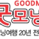 굿모닝 관광여행사