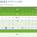 버디스크린 골프존 이미지