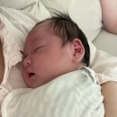 순천향대학병원 | 부천 순천향대학병원 음낭수종 탈장 진료 후기