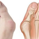 21세기연세의원 이미지