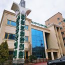 하늘꽃한의원 | '25. 서른네번째 일상, 겨울에도 꽃은 핀다🌺