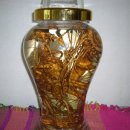 노바골프 이미지