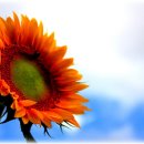 군민회관(체육경기) 이미지