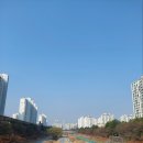 최진아법무사사무소