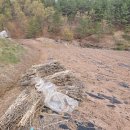 우보공인중개사사무소 이미지