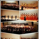 라스텔라 이미지