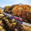 정선아리랑 조형물 이미지