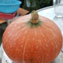 하늘농장 이미지