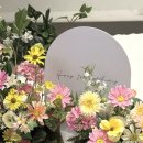 여수 돌스냅 고민 끝에 선택한 제이에스케이스튜디오 달항아리 컨셉 내돈내산 후기