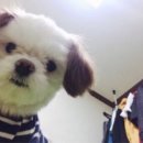 산골주막집 네이버블로그