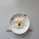 소소로 이미지
