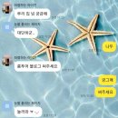 루리링 네이버블로그