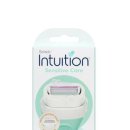 비비드짐 이미지