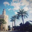 강과바다의 탑 이미지