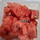 (졔作일기) 여름이 왔어요 여름이