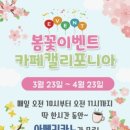 청암로 | 청주 내수읍 신상 대형카페 [캘리포니아] 방문 후기🏝🍸