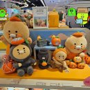 (주)프렌즈투어 이미지