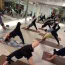 엠엠피트니스(MM피트니스) 이미지