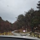 박달재휴양림 | 박달재자연휴양림 복합산막 송학방 1박 후기｜충북 제천 가족여행 추천🌲