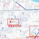 에델로(Edello) 이미지