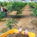 서홍농장 이미지