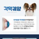 백현 동물병원 이미지