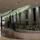 웨딩프로포즈 | 명품웨딩프로포즈 26년 잔여예식 워크인 투어 후기 견적 꿀팁