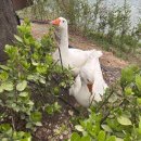 호수불한증막사우나 이미지