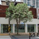 회원동208 이미지