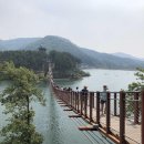 레드브릿지 이미지