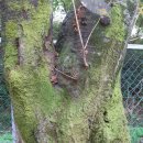 갈현초교(병설) 이미지