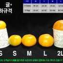 형제골드 네이버블로그