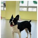 딩동댕치원 이미지