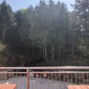 칠천도편백숲 이미지