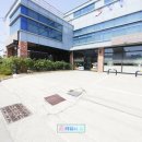 리틀 빈후 이미지