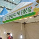 소문난사군자떡