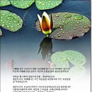 수보리 이미지