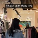 플라이 유튜버
