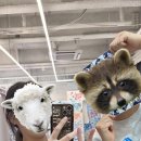 크라운호프당진cgv점