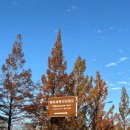 평생학습센터자전거도로화장실 | 광주 근교 나들이 담양 메타세쿼이아길 전라도 가을의 매력