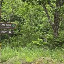 진부령미술관 이미지