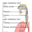 Common cold 이미지