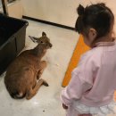 (주)트리플에이게임즈 | 인천 송도 실내 동물원 테이블에이, 트리플스트리트 아이랑 체험