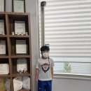 신영태비태권도 이미지