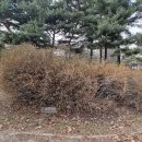 문평공원 이미지