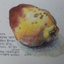 모과식당